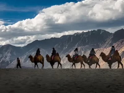 Camel ride in the Nubra valley dunes